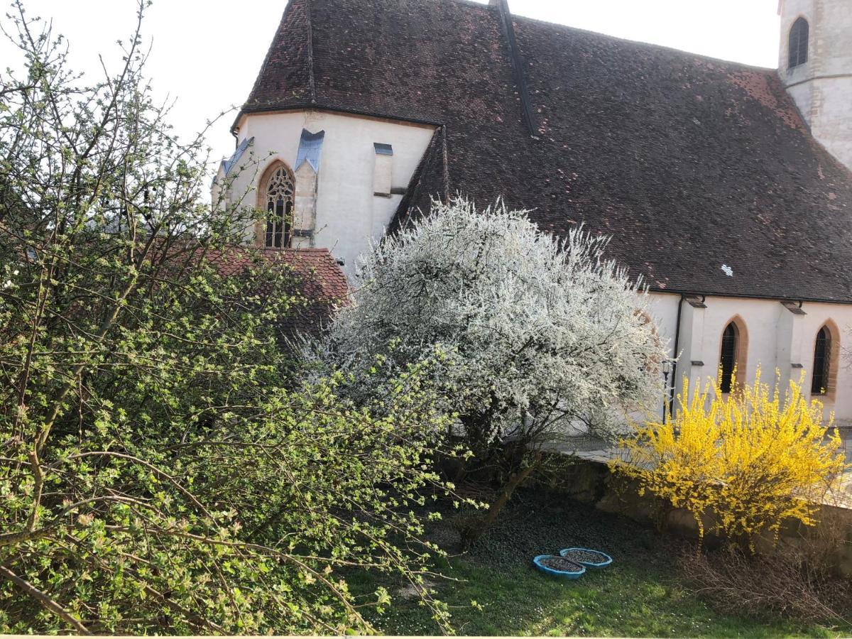 ALTSTADT-APARTMENTS Bad Radkersburg - Ihr gemütliches Urlaubs-Domizil im Herzen der Altstadt mit 3 top-ausgestatteten Ferienwohnungen Exterior foto